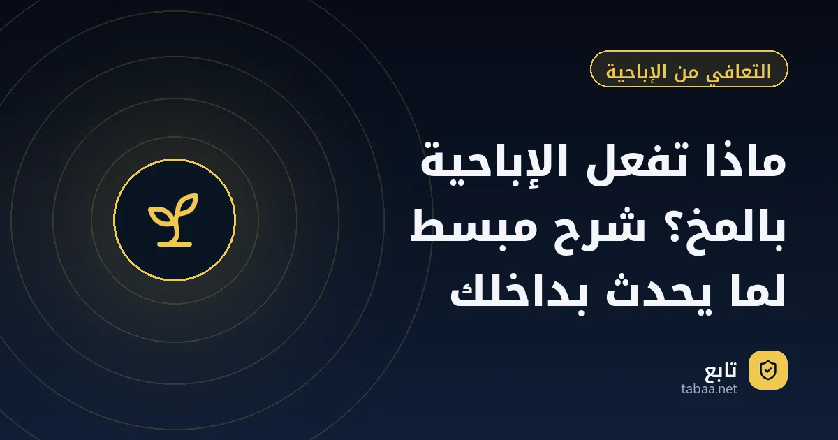 ماذا تفعل الإباحية بالمخ؟ شرح مبسط لما يحدث بداخلك