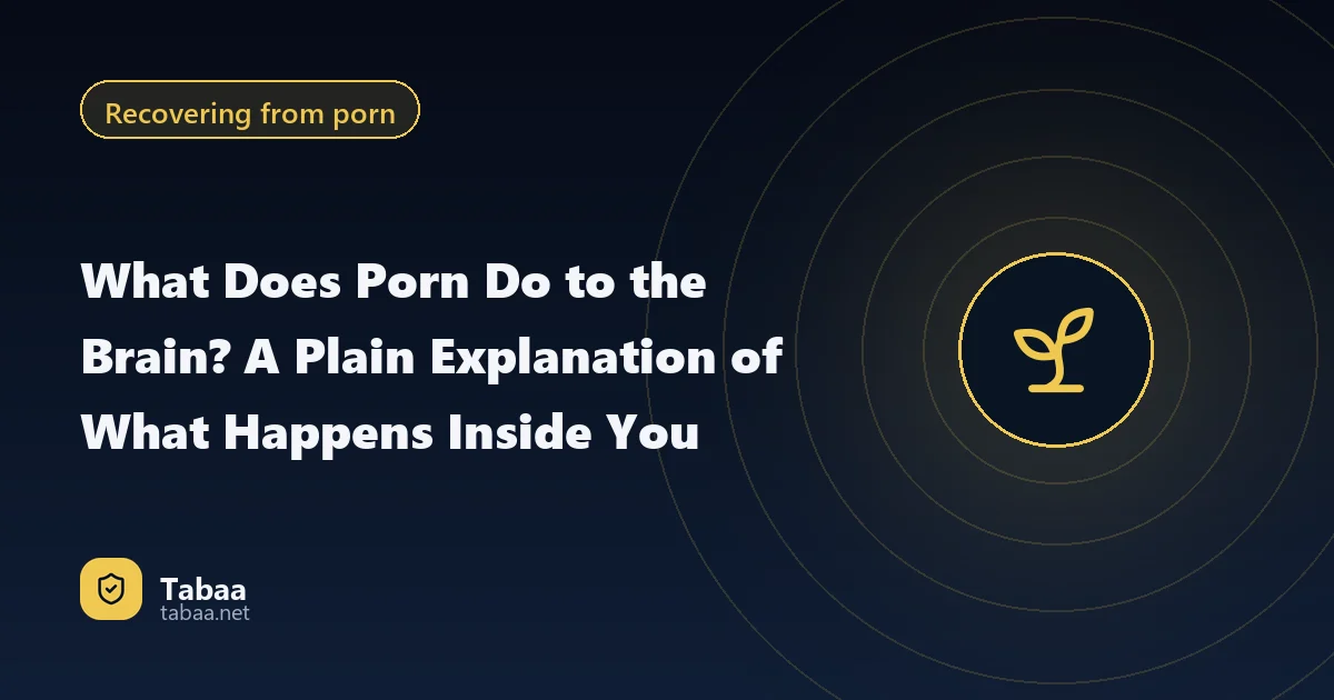 What Does Porn Do to the Brain? A Plain Explanation of What Happens Inside You